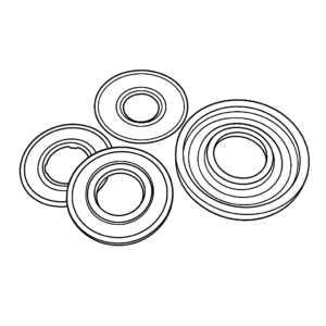 piston kit